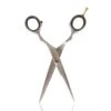 Salon Services S1 Scissors 6 Inch