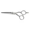 Saiza Scissors Tarantula 5.5" -Care Products Shop 545496 0