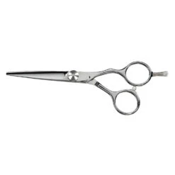 Saiza Scissors Tarantula 5.5"