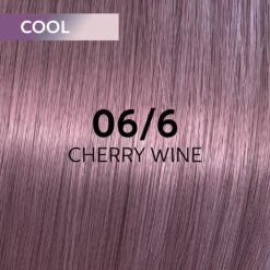 Wella Professionals Shinefinity Zero Lift Glaze - 010/6 Violet 60ml -Care Products Shop 816289 swatch 1