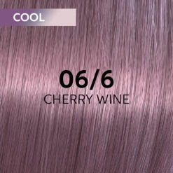 Wella Professionals Shinefinity Zero Lift Glaze - 09/81 Cool Platinum Opal 60ml -Care Products Shop 816289 swatch