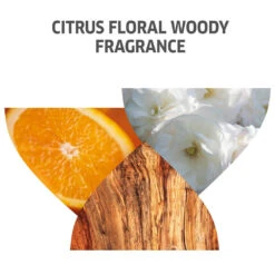 Wella Professionals Invigo Color Brilliance Shampoo Fine 500ml -Care Products Shop 816868 3