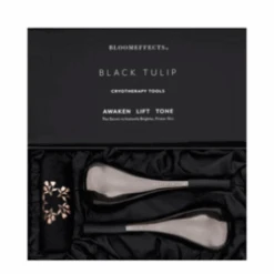 BloomEffects Black Tulip Cryotherapy Tools 10 BloomEffects Black Tulip Cryotherapy Tools -Care Products Shop Black Tulip Cryotherapy Tools add3 71934 8466 general