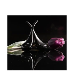 BloomEffects Black Tulip Cryotherapy Tools 7 BloomEffects Black Tulip Cryotherapy Tools - Image 5