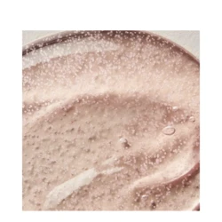 Elemis Gentle Rose Exfoliator 4 Elemis Gentle Rose Exfoliator - Image 2