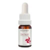 Kosmea Whole Fruit Rose Hip Oil -Care Products Shop Whole Fruit Rose Hip Oil 76060 detail